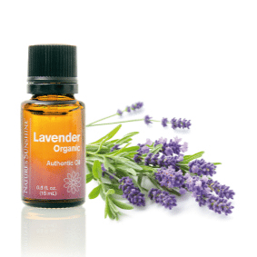 essential oil lavender