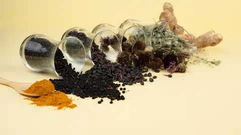 immunity herbs