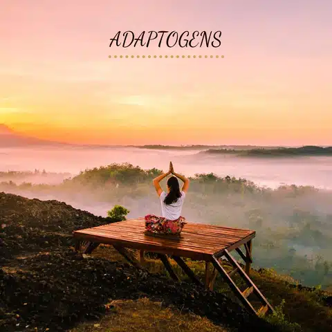 adaptogens