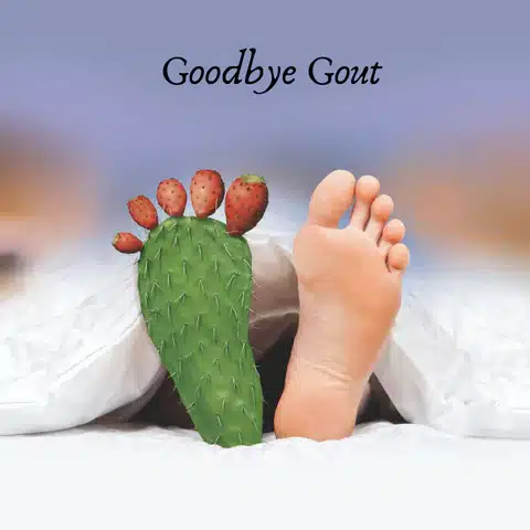 goodbye gout